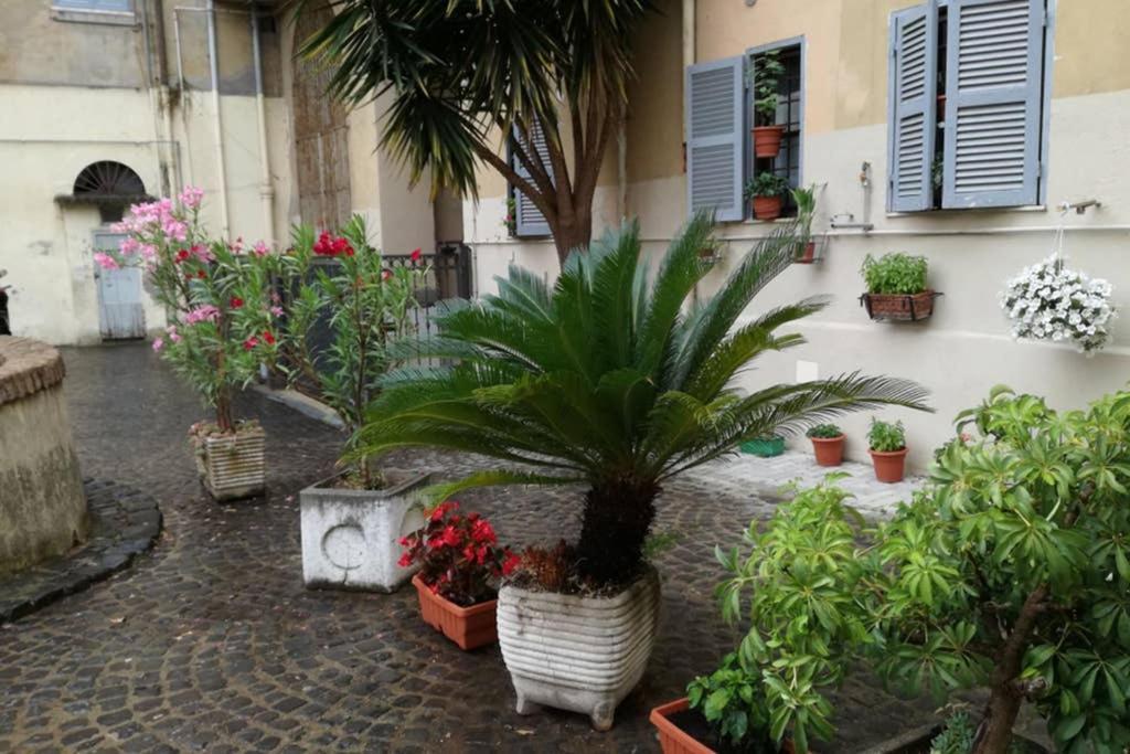 Trastevere House Lejlighed Rom Eksteriør billede